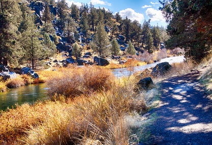 Forested river with path in Redmond, Oregon